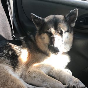 Meet your Posher, Maranda